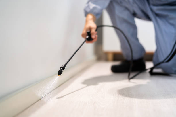 Bed Bug Pre-Treatment Preparation Assessment in Concordia