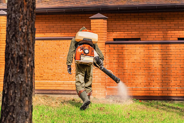 Bed Bug Clearance Verification and Documentation in Concordia